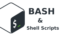 Featured image of post Shell Scripting